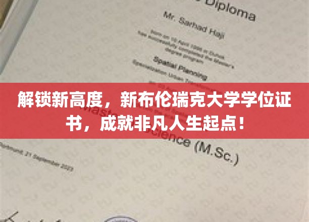 新布伦瑞克大学学位闪耀，开启卓越人生新篇章