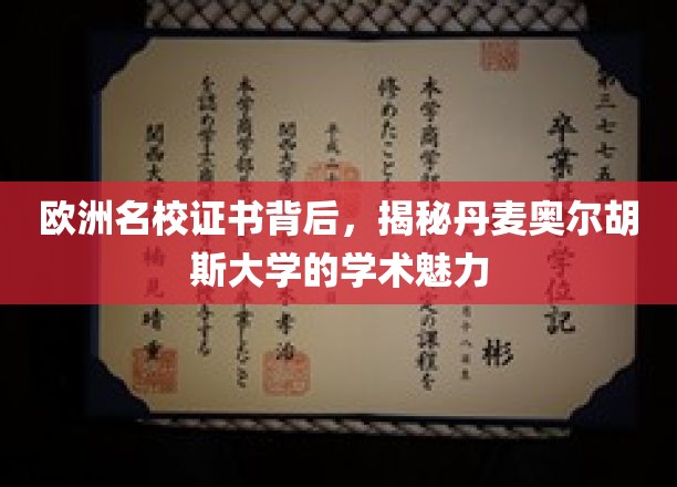 丹麦奥尔胡斯大学，探寻北欧教育明珠的学术风采