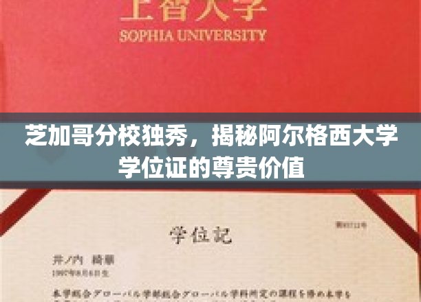 芝加哥分校独秀，揭秘阿尔格西大学学位证的尊贵价值