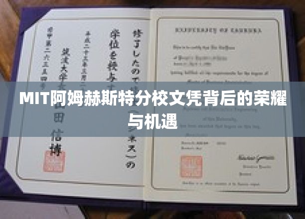 MIT阿姆赫斯特荣耀，文凭背后的无限机遇探索