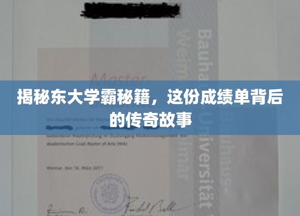 揭秘东大学霸秘籍，这份成绩单背后的传奇故事