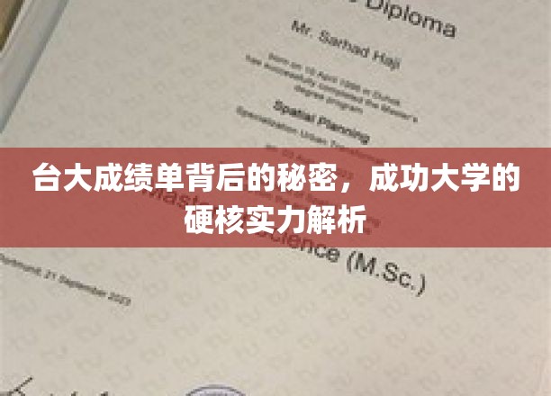 台大成绩单深藏的传奇，揭秘成功大学实力背后的真实故事