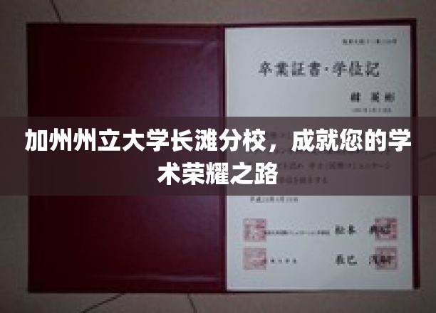 加州荣耀启航，长滩分校助你攀登学术巅峰