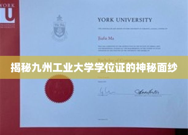 揭开九州工业大学学位证的神秘面纱