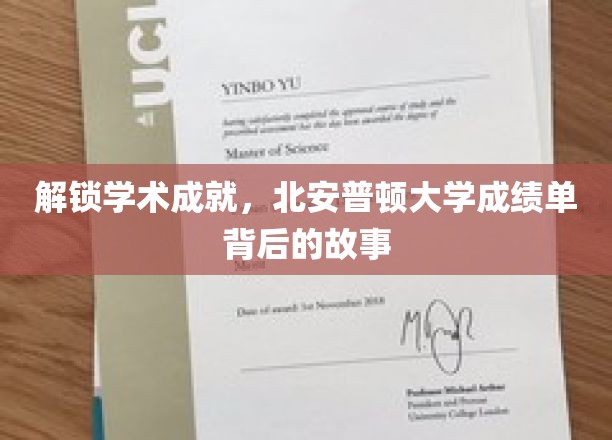 揭开北安普顿大学卓越背后的成绩单秘密
