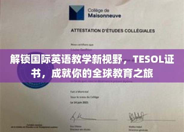 跨越语言界限，TESOL证书引领你的国际教育探索之旅