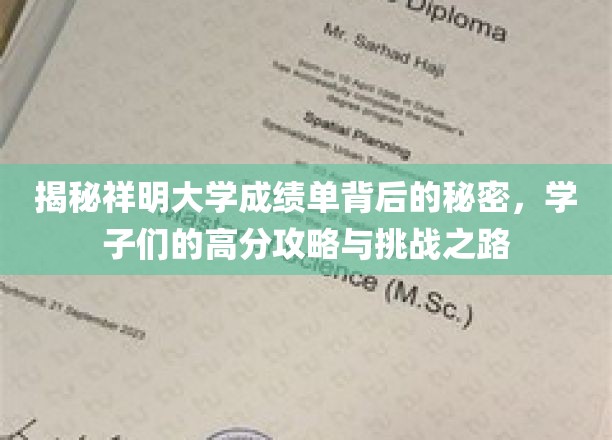 揭秘祥明大学成绩单背后的秘密，学子们的高分攻略与挑战之路