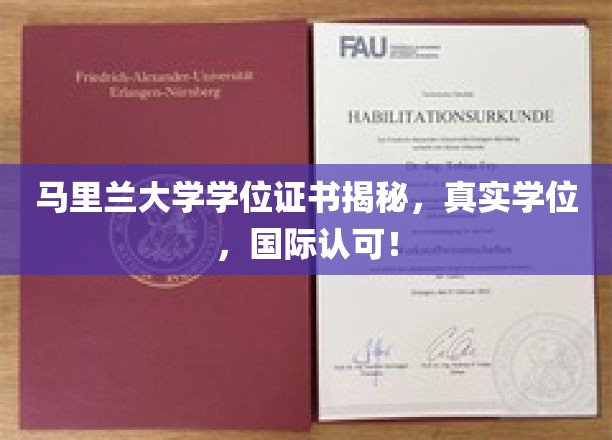 全球通行无阻，马里兰大学真实学位证书，国际认可权威认证！