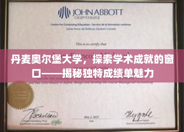 奥尔堡大学成就解码，一窥北欧学术报告的非凡魅力