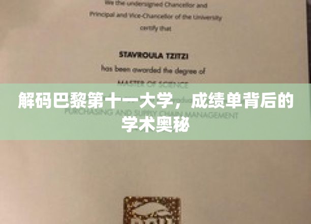 探索巴黎第十一大学，揭开成绩单背后的学术秘境
