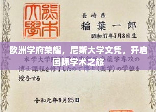 尼斯荣耀启航，国际学术殿堂的通行证