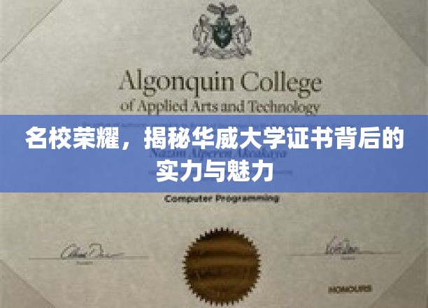 名校荣耀，揭秘华威大学证书背后的实力与魅力