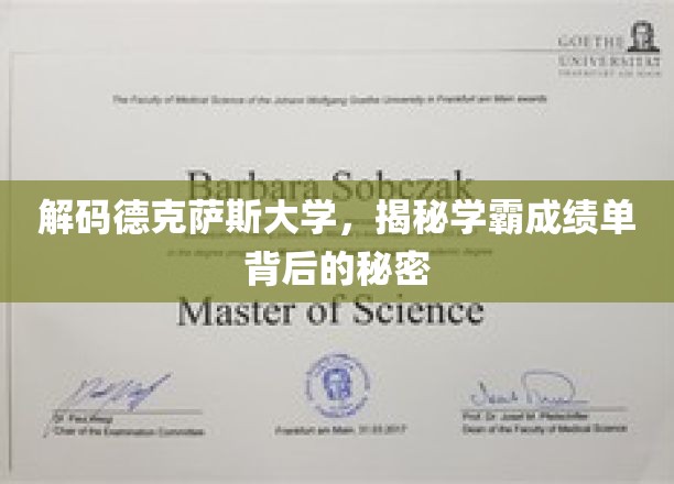 探寻德克萨斯大学学霸背后的学术秘籍
