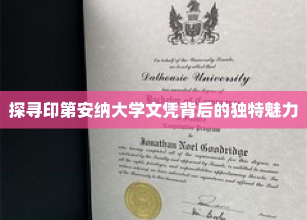 解锁印第安纳大学学位的神秘之光