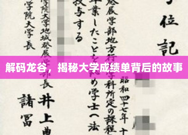 龙谷秘境，揭秘大学生成绩单背后的真实轨迹