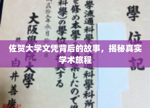 佐贺大学文凭背后的故事，揭秘真实学术旅程