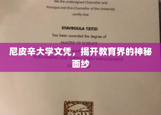 尼皮辛文凭探秘，解码教育界的未知世界