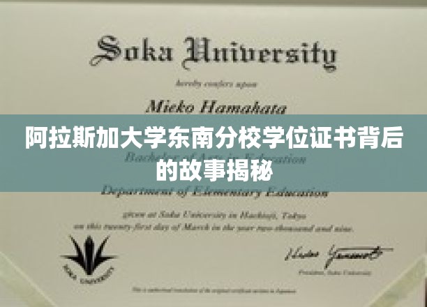 解码阿拉斯加大学东南分校学位证书背后的传奇旅程
