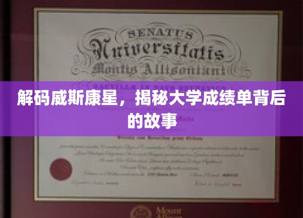 探寻威斯康星大学，揭开成绩单背后的神秘面纱