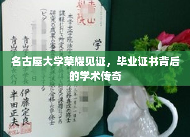 名古屋大学荣耀加冕，揭秘毕业证书背后的学术辉煌之路