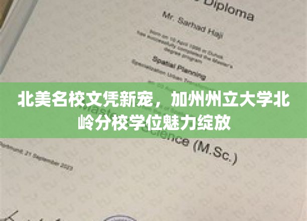 加州州立大学北岭分校，北美顶尖文凭的新星崛起