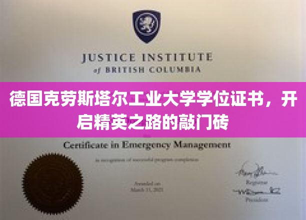 德国克劳斯塔尔工业大学学位证书，开启精英之路的敲门砖