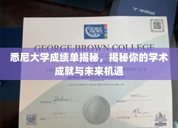 解码悉尼大学成绩单，解锁你的学术荣耀与无限可能