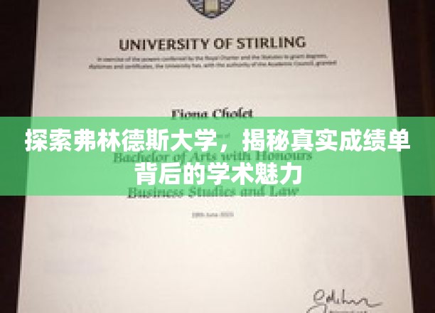 解码弗林德斯大学，揭开成绩单背后的学术奥秘