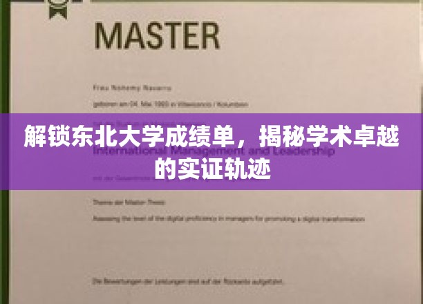 东北大学成绩单解码，探秘学术卓越的实证之路
