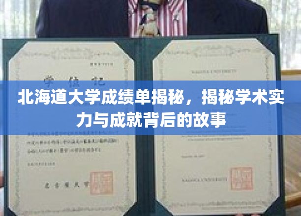 北海道大学成绩单揭秘，探寻学术实力与成就背后的故事