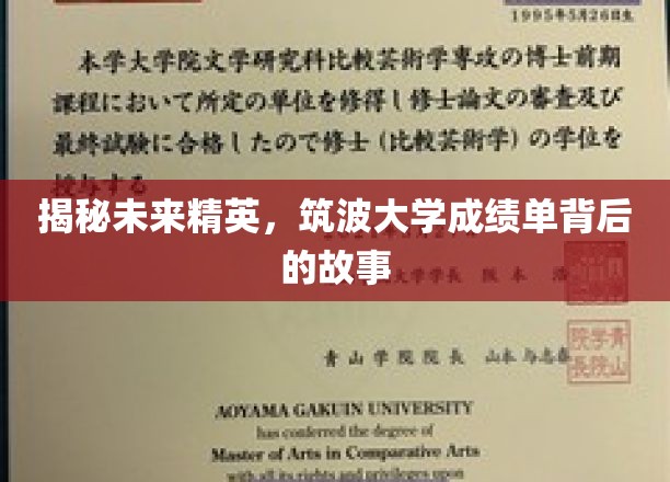 揭秘未来精英，筑波大学成绩单背后的故事
