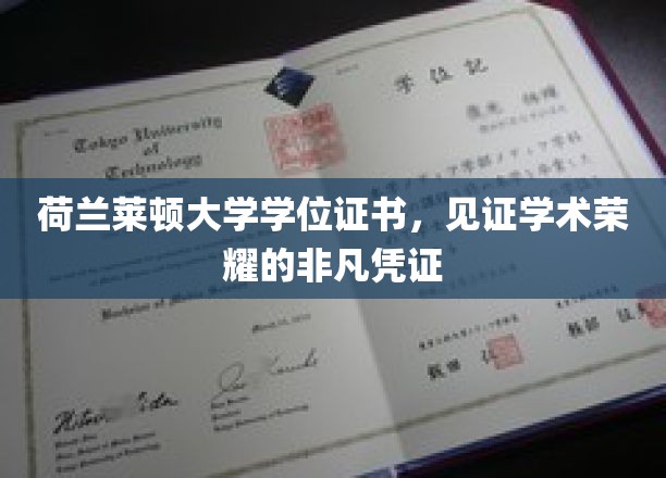 荷兰莱顿大学学位证书，见证学术荣耀的非凡凭证
