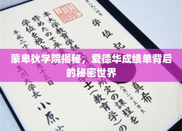 蒙卑狄学院揭秘，爱德华成绩单背后的秘密世界