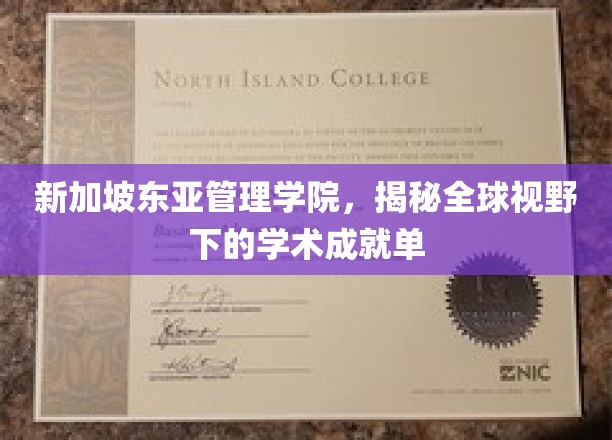 新加坡东亚管理学院，国际舞台上闪耀的学术明珠之光