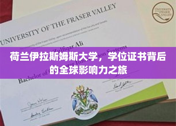 荷兰伊拉斯姆斯大学，学位证书见证的国际影响力传奇之旅