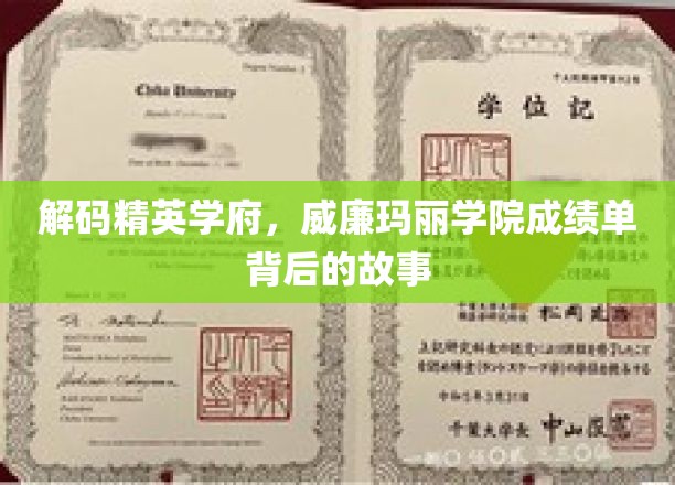 揭秘威廉玛丽学院，精英摇篮的非凡成就与成长轨迹