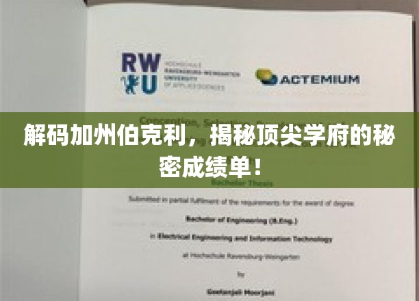 解码加州伯克利，揭秘顶尖学府的秘密成绩单！