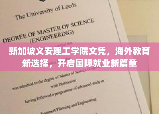 新加坡义安理工学历助力，海外求学之路开启全球就业大门