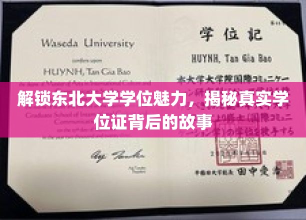 东北大学学位证揭秘，探寻背后的独特魅力与真实故事