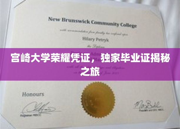 宫崎大学荣耀凭证，独家毕业证揭秘之旅