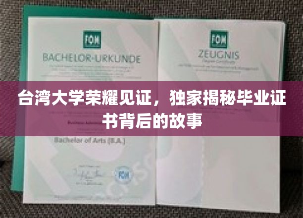 台湾大学荣耀背后，揭秘毕业证书的非凡历程