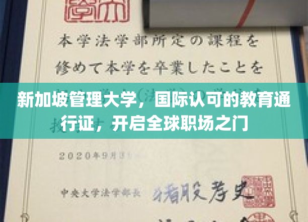 新加坡管理大学，国际通行证，助力职场全球化启航