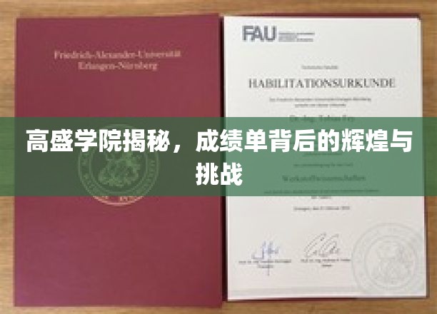 解码高盛学院，成绩单背后的荣耀之路