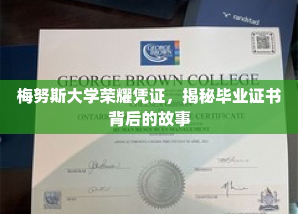 梅努斯大学荣耀凭证，揭秘毕业证书背后的故事