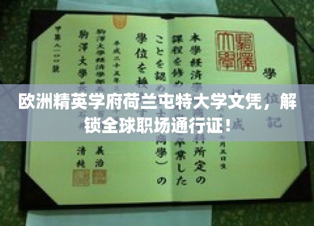 荷兰屯特大学精英文凭，助力全球职场无限可能！