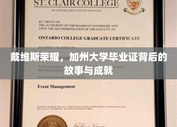 戴维斯荣耀，加州大学毕业证背后的故事与成就