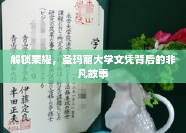 解锁荣耀，圣玛丽大学文凭背后的非凡故事