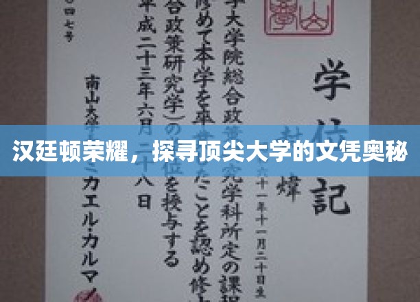 解码顶尖名校，汉廷顿荣耀背后的文凭之谜
