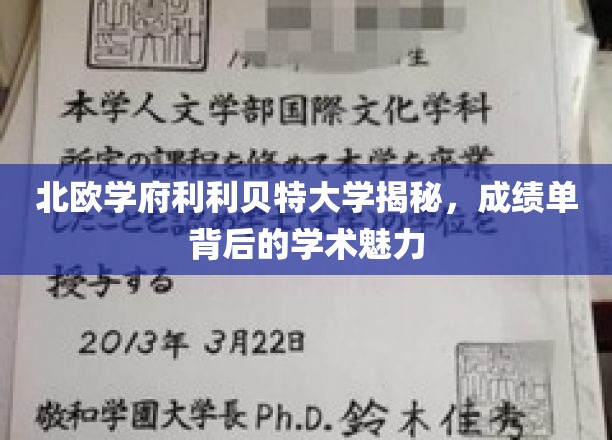 探索北欧利利贝特大学，揭开成绩单背后的学术风采之谜