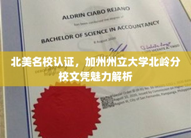 加州州立大学北岭分校文凭，北美名校认可下的教育魅力解析